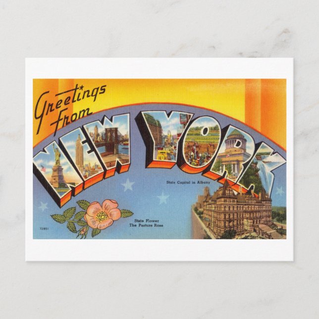 Vintage Grüße aus New York Staat Postkarte (Vorderseite)
