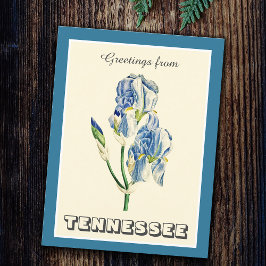 Vintage Grüße von Tennessee Blue Iris Postkarte