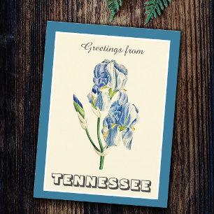 Vintage Grüße von Tennessee Blue Iris Postkarte