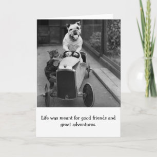 Vintage - Gute Freunde und große Abenteuer, Karte