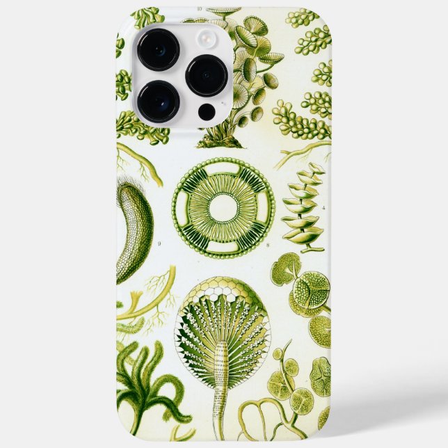 Vintage Haeckel Case-Mate iPhone Hülle (Rückseite)
