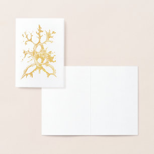 Vintage Haeckel Folienkarte