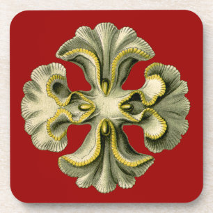 Vintage Haeckel Getränkeuntersetzer