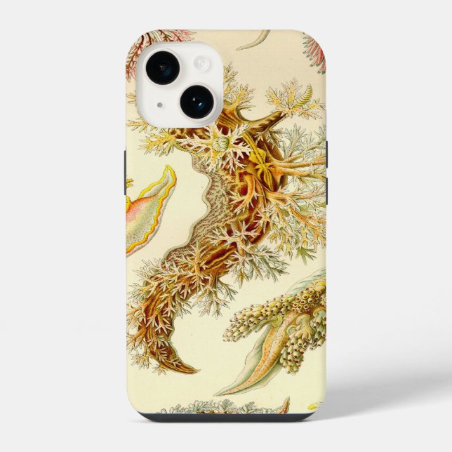 Vintage Haeckel iPhone Hülle (Rückseite)