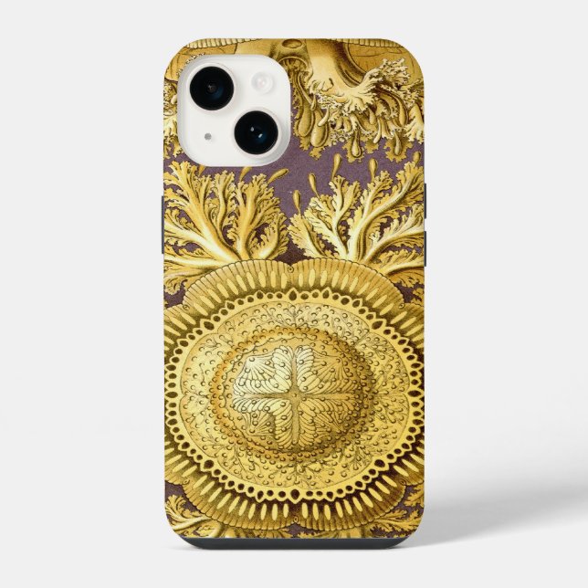 Vintage Haeckel iPhone Hülle (Rückseite)