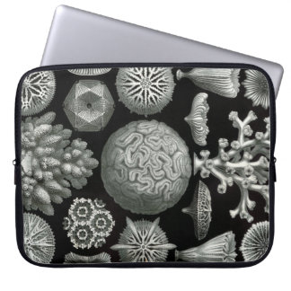 Vintage Haeckel Laptopschutzhülle