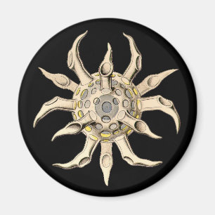 Vintage Haeckel Magnet