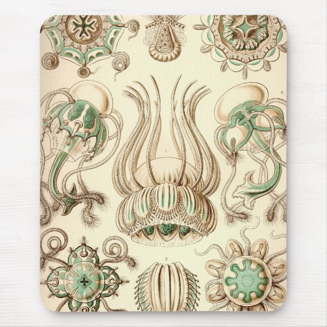 Vintage Haeckel Mousepad (Vorne)