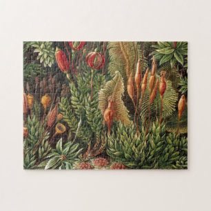 Vintage Haeckel Pflanzenleben Druck Puzzle