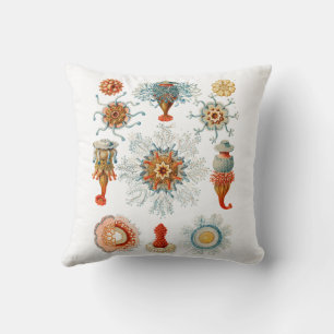 Vintage Haeckel Siphonophore Meerestiere Quallen Kissen