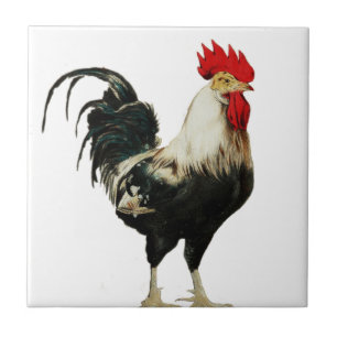 Vintage Hahn Huhn Anpassen Tier best Fliese