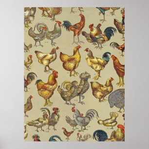 Vintage Hahn Hühner Muster: Farmhouse Kunst Poster