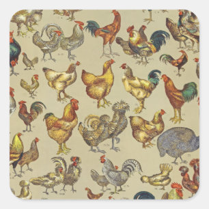Vintage Hahn Hühner Muster: Farmhouse Kunst Quadratischer Aufkleber
