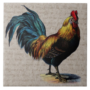 Vintage Hahn und antike Text-Collage - Benutzerdef Fliese
