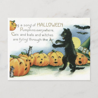 Vintage Halloween Black Cat Mice Mouse Postcard Postkarte