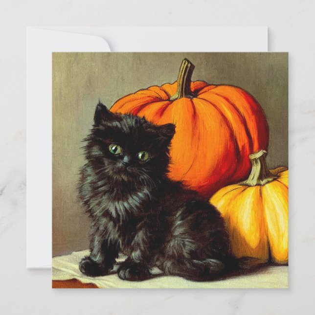 Vintage Halloween Black Cat und Pumpkins Einladung (Vorderseite)