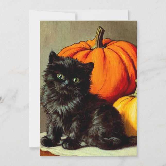 Vintage Halloween Black Cat und Pumpkins Einladung (Vorderseite)