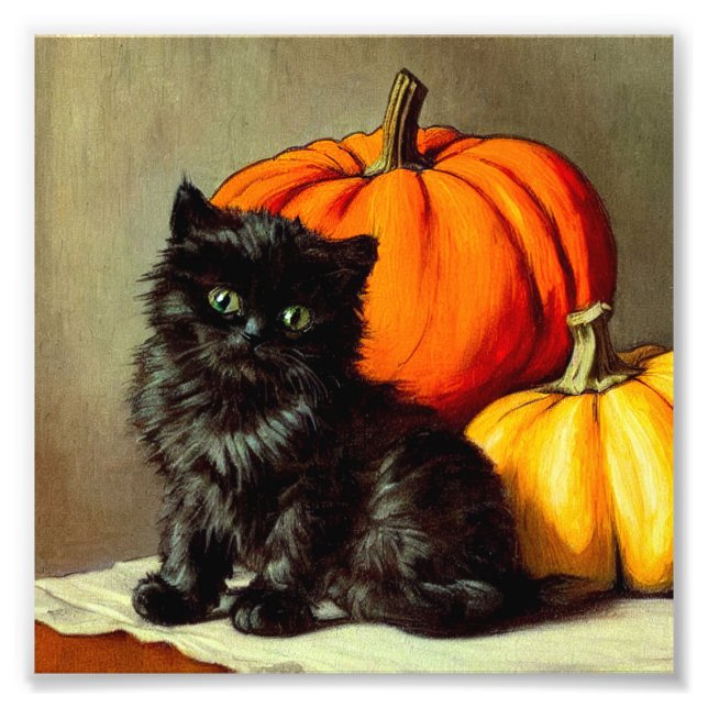 Vintage Halloween Black Cat und Pumpkins Fotodruck (Vorne)