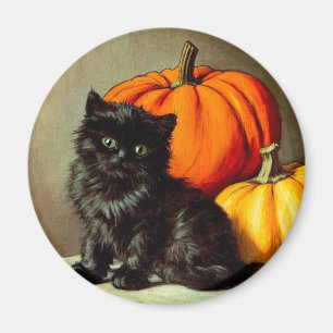 Vintage Halloween Black Cat und Pumpkins Magnet