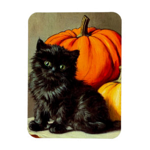 Vintage Halloween Black Cat und Pumpkins Magnet