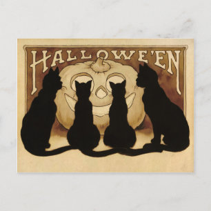 Vintage Halloween Cats Postkarte
