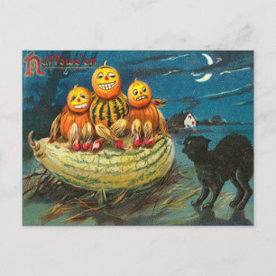 Vintage Halloween Gourds, Galgen Postkarte