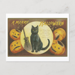 Vintage Halloween-Grüße mit schwarzer Katze Postkarte
