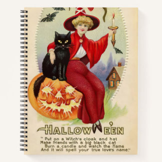 Vintage Halloween-Hexe und Schwarze Katze Notizbuch