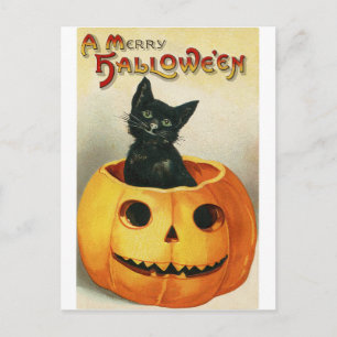 Vintage-Halloween-Karte Schwarze Katze im Kürbis Postkarte