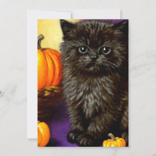 Vintage Halloween-Kätzchen Einladung