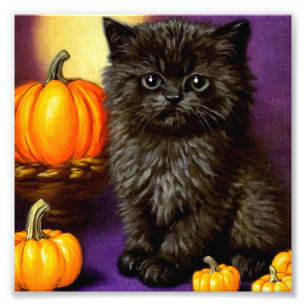 Vintage-Halloween-Kätzchen Fotodruck