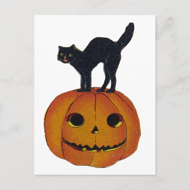 Vintage Halloween-Katze Postkarte (Vorderseite)