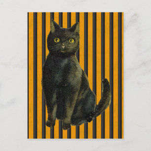 Vintage Halloween-Katze Postkarte