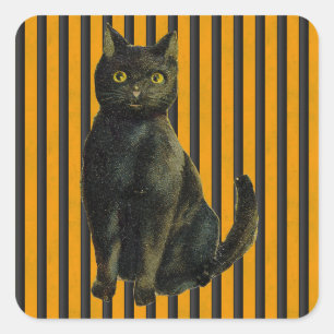 Vintage Halloween-Katze Quadratischer Aufkleber