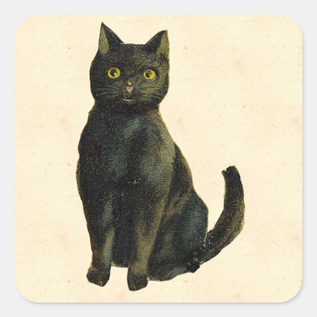 Vintage Halloween-Katze Quadratischer Aufkleber (Vorderseite)