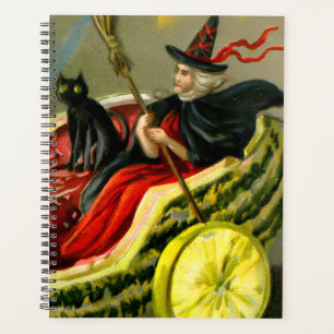 Vintage Halloween-Katzenjacke Planer