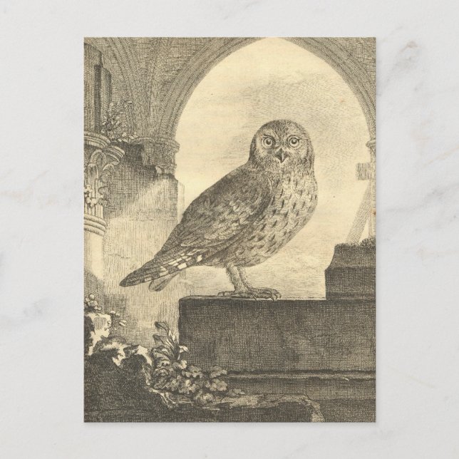 Vintage Halloween Owl Postkarten (Vorderseite)