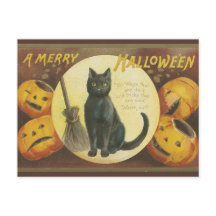 Vintage Halloween postcard with pumpkins and cat