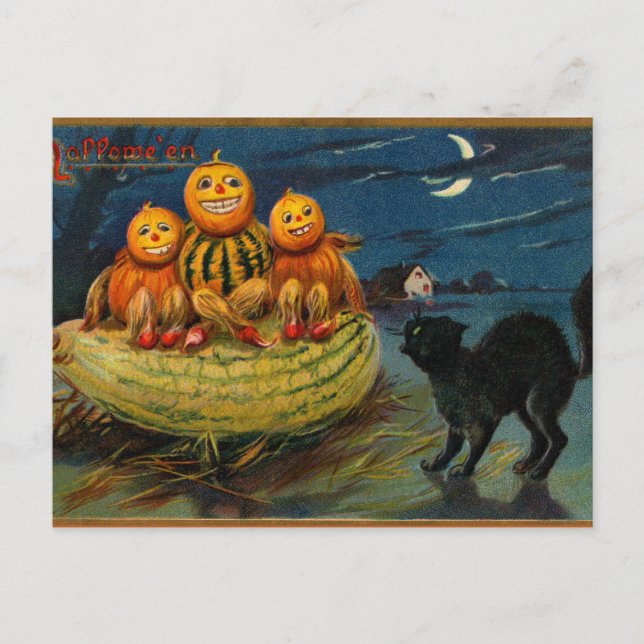 Vintage Halloween Pumpkins Black Cat Postkarte (Vorderseite)