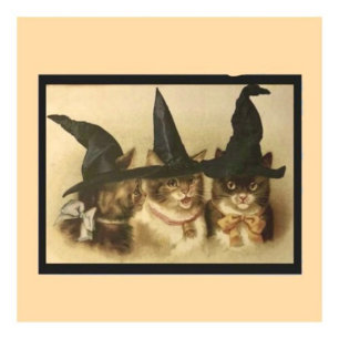 Vintage Halloween Schwarze Katzen Postkarte