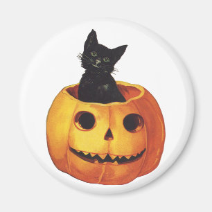 Vintage Halloween, süße schwarze Katze in einem Kü Magnet