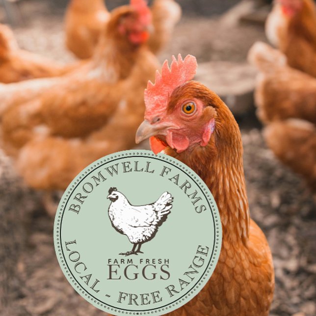 VINTAGE HÄNDLER FRISCHES EGG-Blassgrünes Etikett Runder Aufkleber (Von Creator hochgeladen)