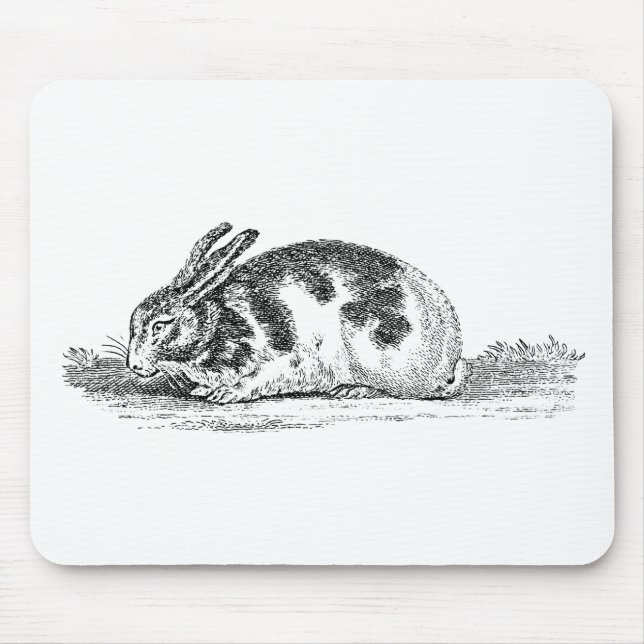 Vintage Häschen-Kaninchen-Illustration - Kaninchen Mousepad (Vorne)
