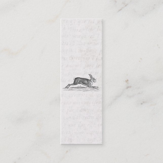 Vintage Hase-Häschen-Kaninchen 1800s Illustration Mini Visitenkarte (Vorderseite)