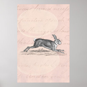 Vintage-Hasen-Hase-Kaninchen-Illustration - Kaninc Poster