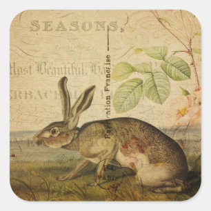 Vintage-Hasen-Tierillustration Florale Collage Quadratischer Aufkleber