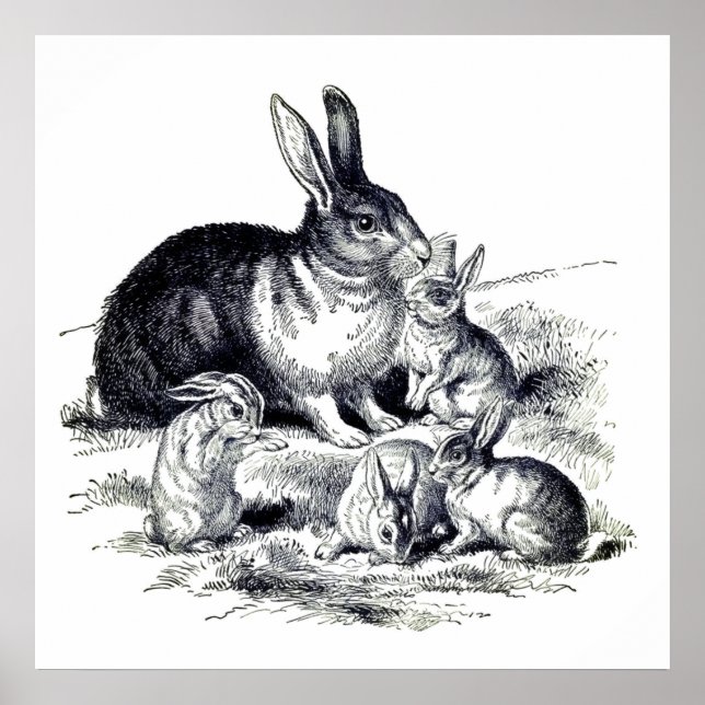 Vintage Hasenfamilie Poster (Vorne)