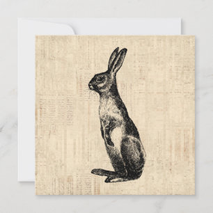 Vintage-Hasenillustration im altmodischen Stil Karte