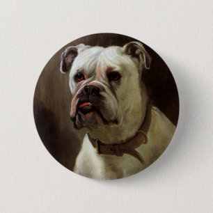 Vintage Haustiere, Boxer Puppy Dog Portrait Button