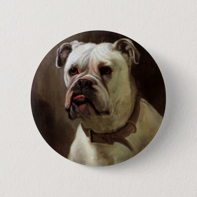 Vintage Haustiere, Boxer Puppy Dog Portrait Button (Vorderseite)
